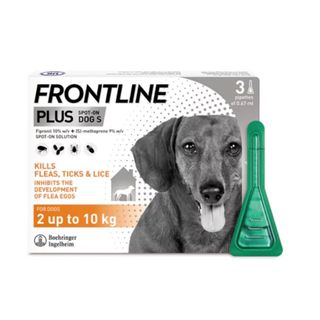 （分類：）位於 。 由 freshapets 提交（商品編號 1225158857，圖片 1）。簡介： 。