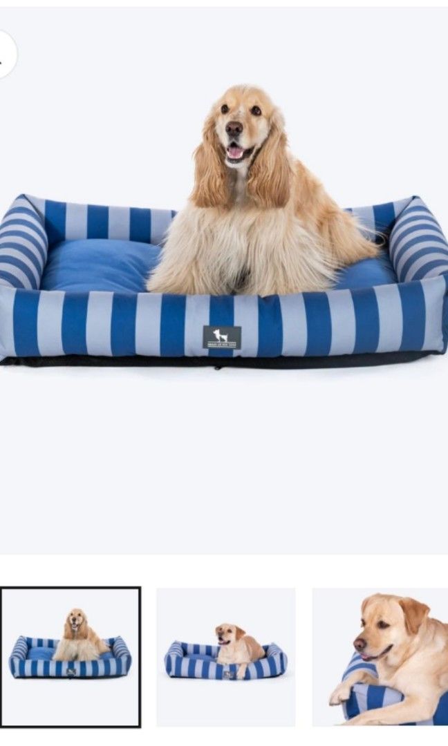 HUFT Stripe Siesta Lounger Dog Bed Blue White Pet Supplies Homes Other Pet Accessories on Carousell