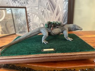 (Category: ) located in . Submitted by funny_museum (Listing ID 1326711378, Image 1). Description: .
