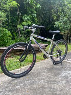 Polygon vintage hybrid clearance