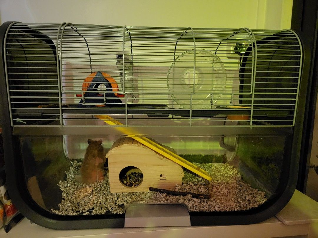 Savic geneva hamster cage hotsell