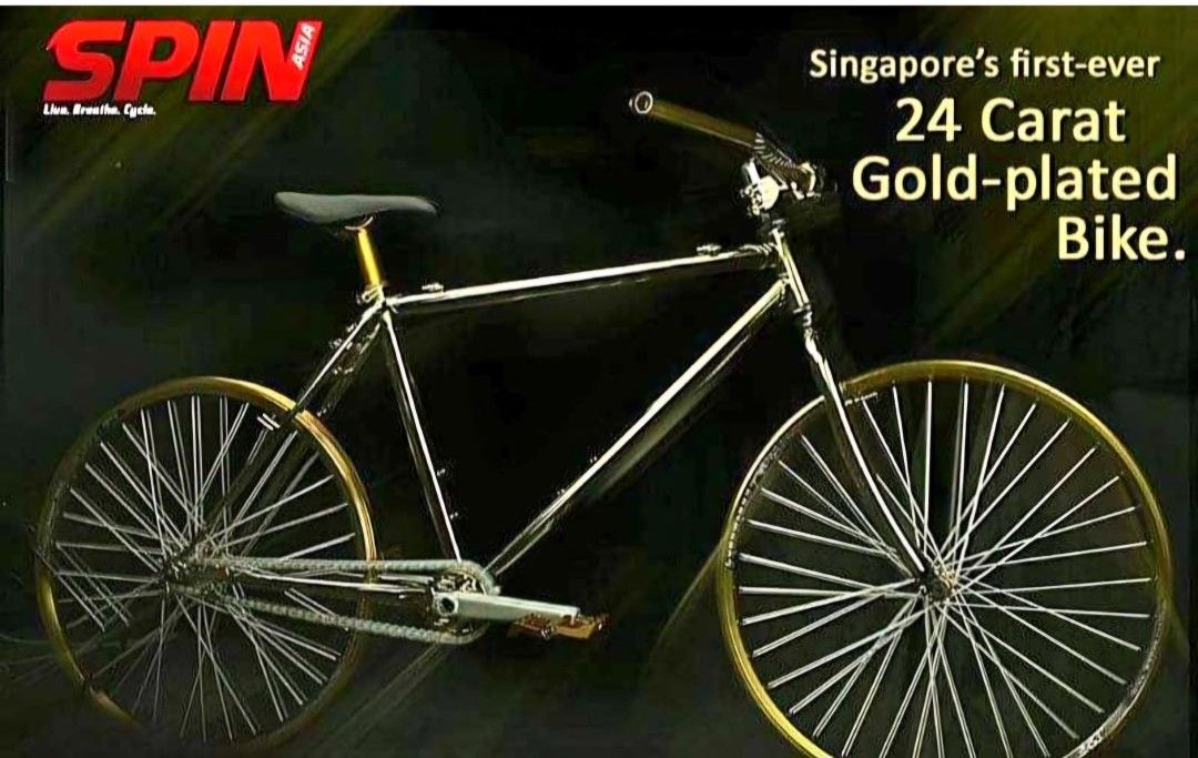 TREK 970 24K GOLD PLATED VINTAGE MTB FRAME, Sports Equipment