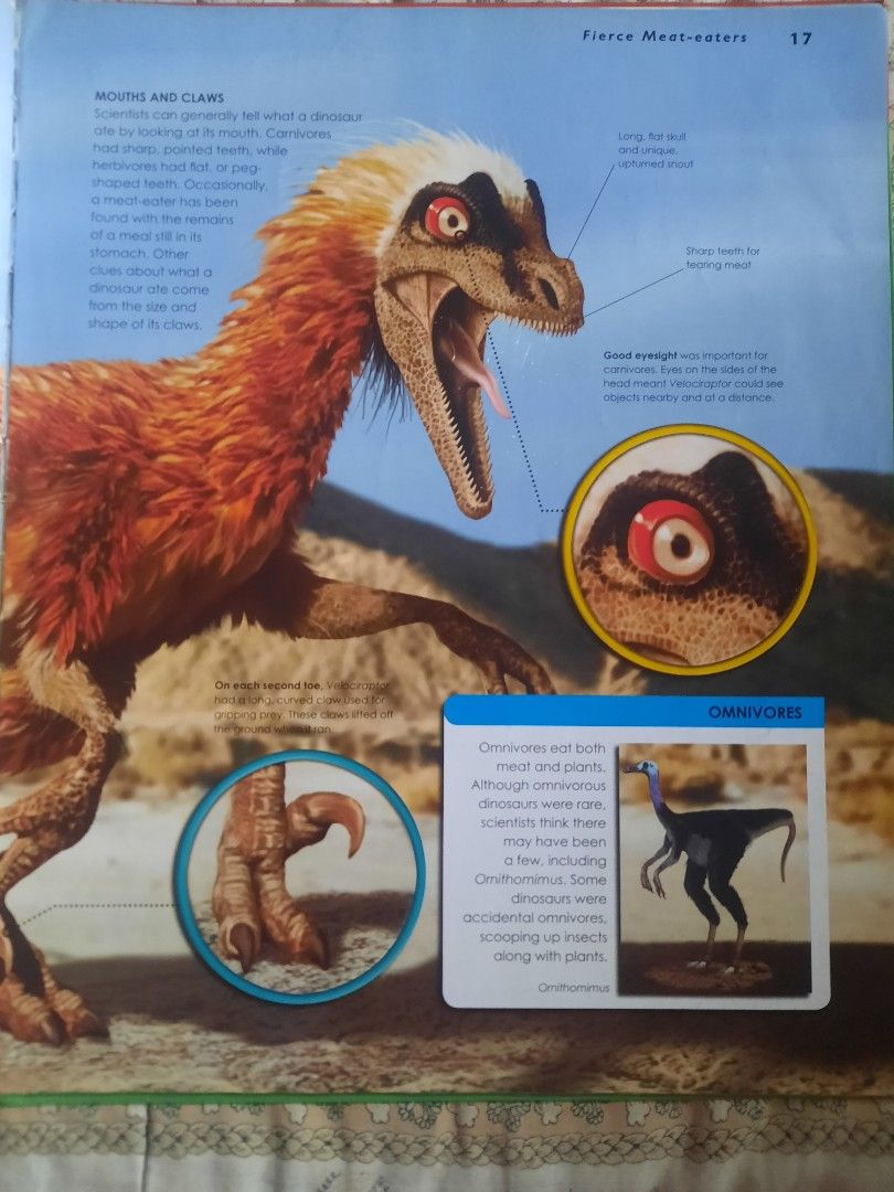 [Book] Primary Explorers: The Age of Dinosaurs, Hobbies & Toys, Books ...
