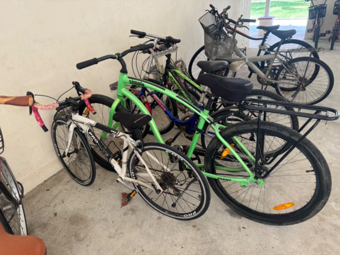 Giant Simple Single speed bike