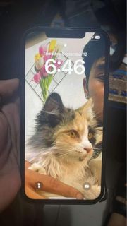 (Category: ) located in . Submitted by all_abt_ios.2 (Listing ID 1326925788, Image 1). Description: .