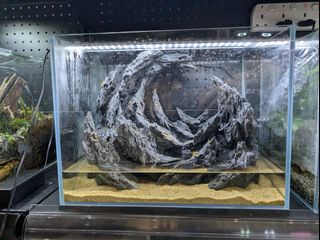 (Category: ) located in . Submitted by eastoceansg (Listing ID 1326882100, Image 1). Description: .
