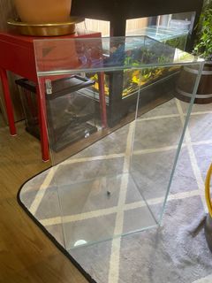 (Category: ) located in . Submitted by crimson_betta (Listing ID 1327164593, Image 1). Description: .