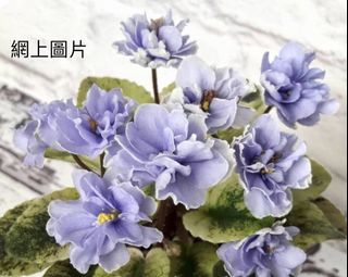 （分類：）位於 。 由 sellring 提交（商品編號 1327119464，圖片 1）。簡介： 。