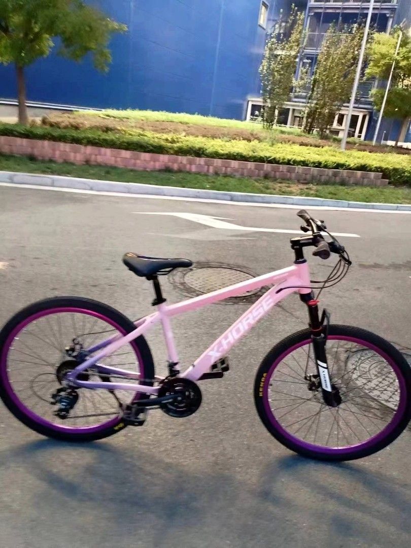 Ladies bike aluminium frame best sale