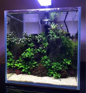 (Category: ) located in . Submitted by ayraayraayra (Listing ID 1327062175, Image 1). Description: .