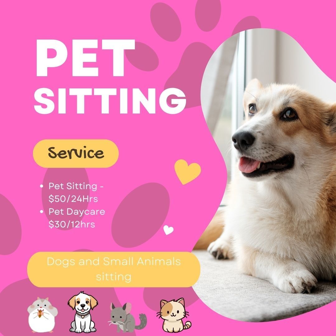 Pet Sitting and Daycare, Pet Supplies, Homes Other Pet