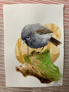 (Category: ) located in . Submitted by jafni1985 (Listing ID 1327114233, Image 1). Description: .