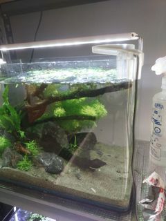 (Category: ) located in . Submitted by yrugay (Listing ID 1327273679, Image 1). Description: .