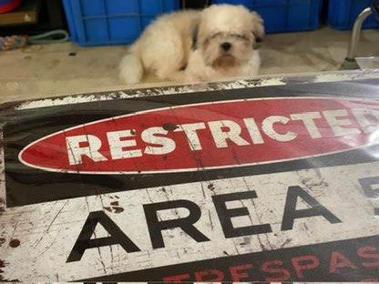Repro Signages Area 51 Signage - Alien - Metal Signage - repro signage - Vintage ...