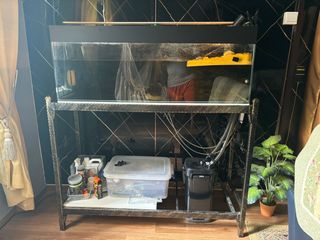 (Category: ) located in . Submitted by TheRavager (Listing ID 1327239078, Image 1). Description: .