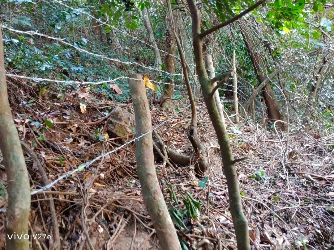 Lot for sale (Category: Lot) located in Paranaque City. Submitted by kotseatrelo168 (Listing ID 1327242863, Image 2). Description: Lot for sale 30,000 square meter 4,800 per square sitio bayangin brgy alas asin mariveles bataan .