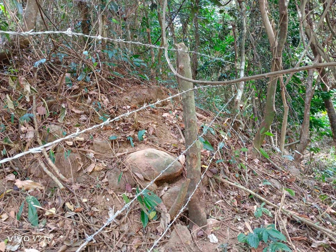 Lot for sale (Category: Lot) located in Paranaque City. Submitted by kotseatrelo168 (Listing ID 1327242863, Image 3). Description: Lot for sale 30,000 square meter 4,800 per square sitio bayangin brgy alas asin mariveles bataan .