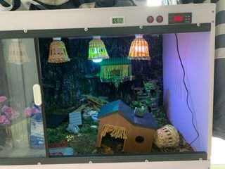 (Category: ) located in . Submitted by queenbee77 (Listing ID 1327249283, Image 1). Description: .