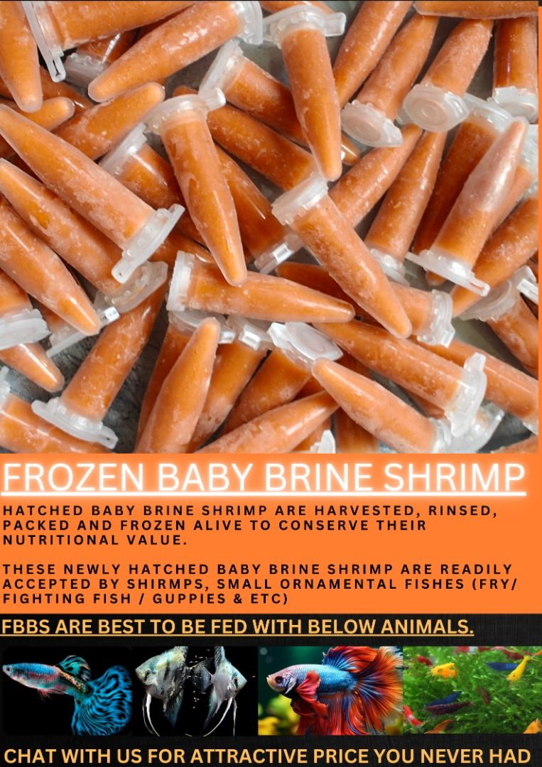 Frozen Baby Brine Shrimp Pet Supplies Pet Food on Carousell