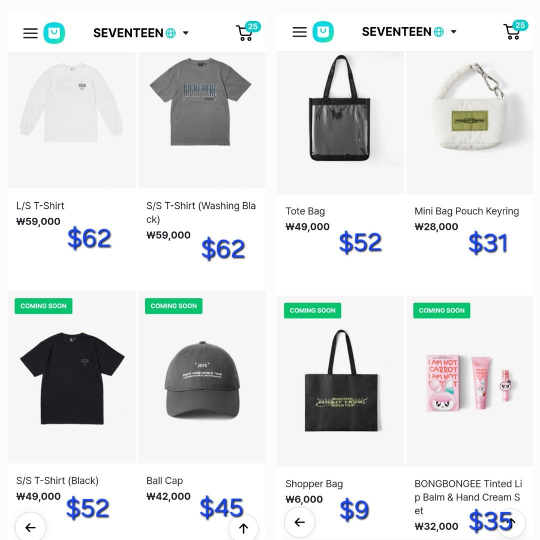 SEVENTEEN RIGHT HERE WORLD TOUR トートバッグ SEVENTEEN - RIGHT HERE WORLD TOUR IN JAPAN OFFICIAL MERCH