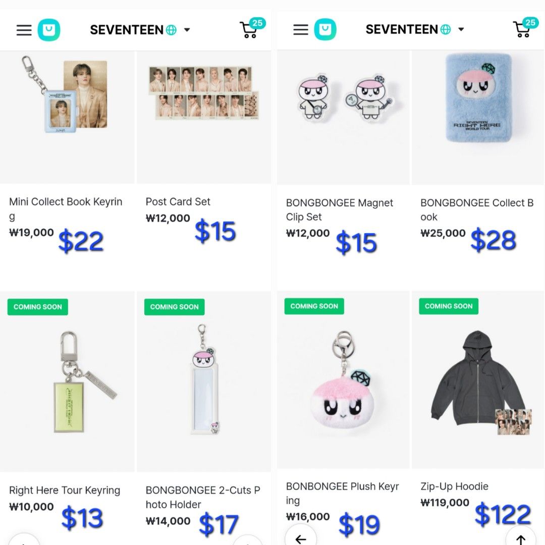 CLOSED] SEVENTEEN RIGHT HERE World Tour Merch, Toys & Collectibles