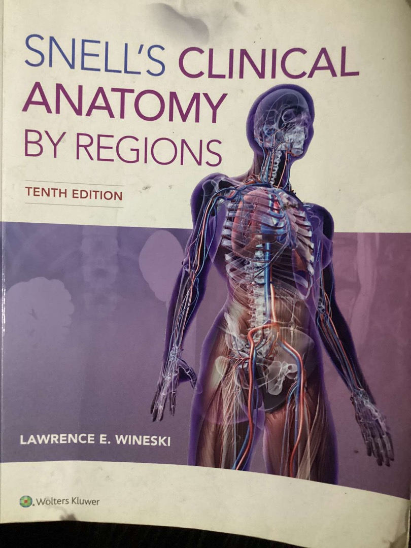 SNELL'S CLINICAL ANATOMY BY REGIONS, Hobbies & Toys, Books & Magazines ...