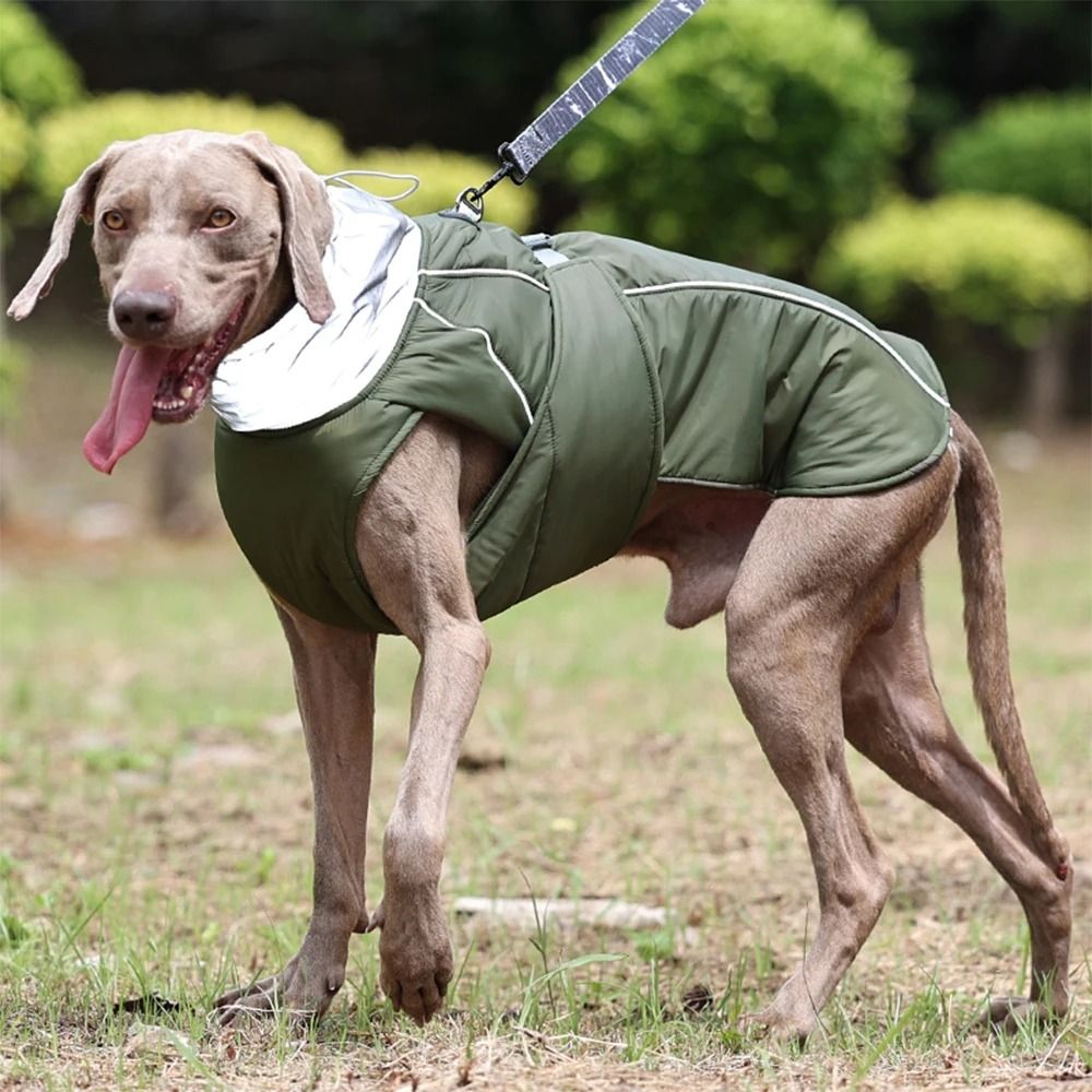 Thermal dog jacket top