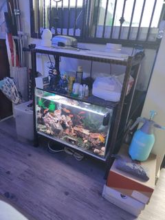 (Category: ) located in . Submitted by anm.courier (Listing ID 1327469682, Image 1). Description: .