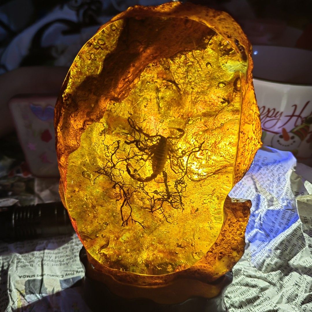 Amber specimen (Category: Precious Stones) located in Marikina City. Submitted by dlsctrading (Listing ID 1327656390, Image 2). Description: Amber scorpion specimen with stand...