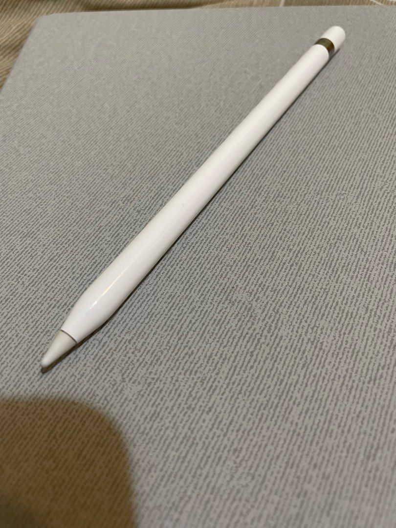 極美品 2024年3月購入品 Apple Pencil 2 MU8F2J/A