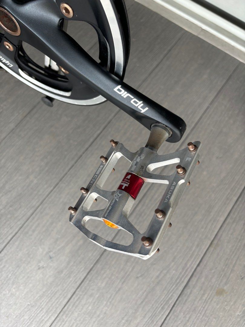 Birdy R20 foldie Pearl Mouse Grey Negotiable