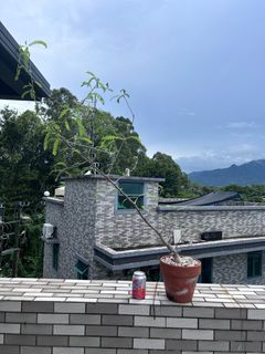 （分類：）位於 。 由 wksui 提交（商品編號 1327573569，圖片 1）。簡介： 。