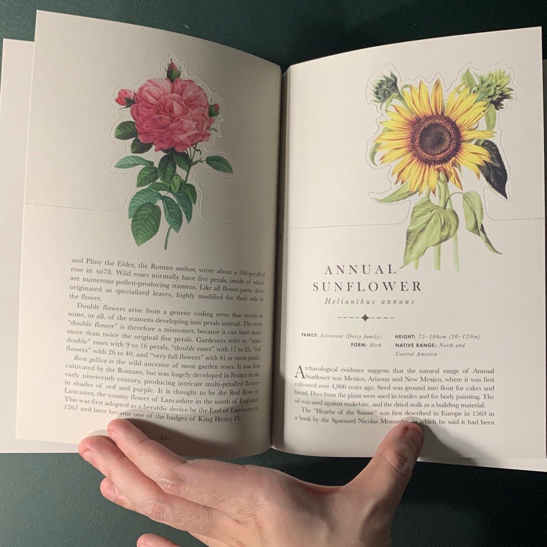 The Flower Garden hardcover pop up flower botanical illustration art