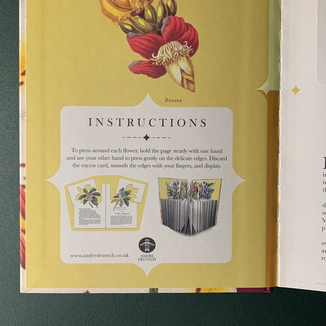The Flower Garden hardcover pop up flower botanical illustration art