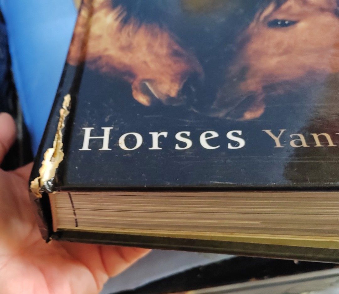 Yann Arthus - Bertrand Horses book, Hobbies & Toys, Books