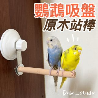 由 ai422917 (刊登 ID 1327793122，圖片 1) 提交，位於 的 (類別：)，說明：。
