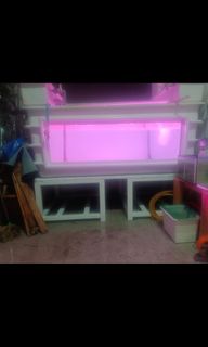 (Category: ) located in . Submitted by shaiksalleh080258 (Listing ID 1327795005, Image 1). Description: .