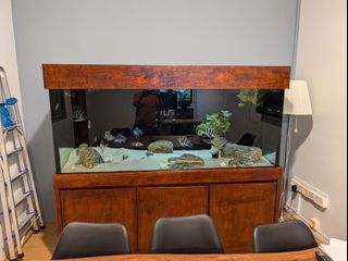(Category: ) located in . Submitted by bennyliv (Listing ID 1327768537, Image 1). Description: .