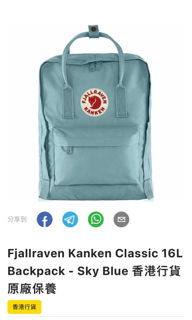 Sky blue kanken bag sale