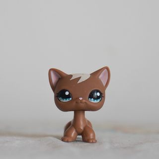Lps shorthair cats for sale outlet
