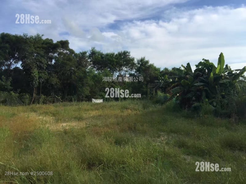 [售盤] 粉嶺優質農地  車到門口 罕有  Fanling Quality Agricultural Land - Accessible by car, rare opportunity for sale64076921491587110