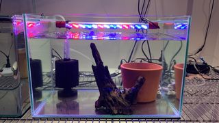 (Category: ) located in . Submitted by wipez77 (Listing ID 1327992189, Image 1). Description: .