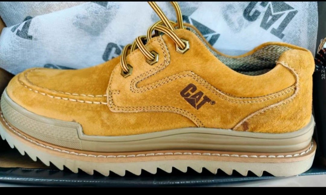 cat shoe