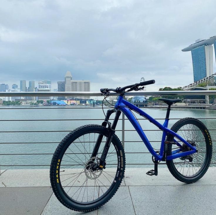 Dartmoor hornet hardtail