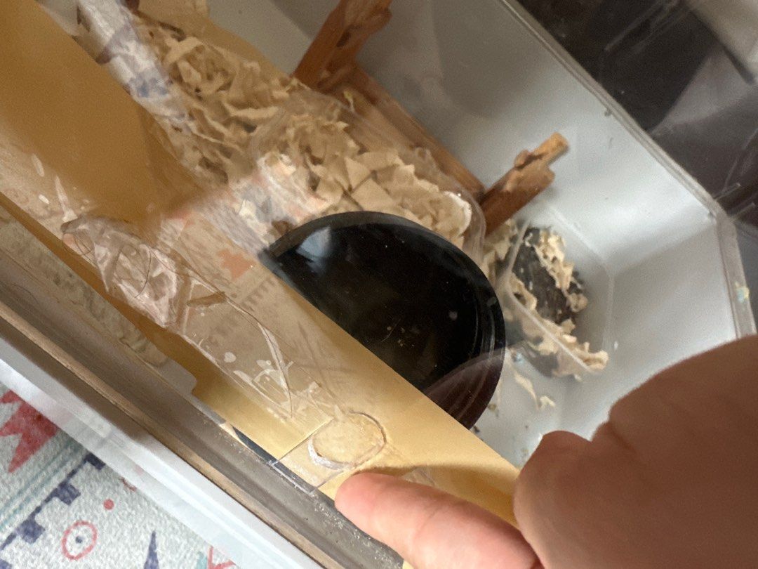 Living World 62002 Zoo Zone L Rabbit Habitat Guinea Pig Cage Small