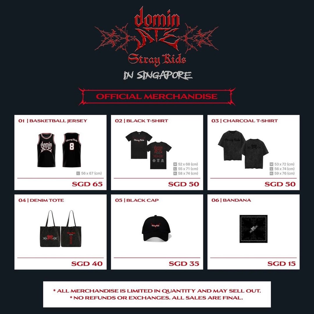 StrayKids スキズ ゲームシャツ Ｍサイズ GAME SHIRT【L】/ Stray Kids『Stray Kids World Tour