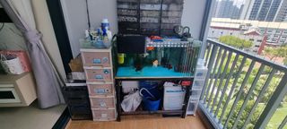 (Category: ) located in . Submitted by apm2200 (Listing ID 1328248143, Image 1). Description: .