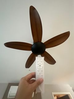 CEILING FAN ALPHA AX70 5B/40
