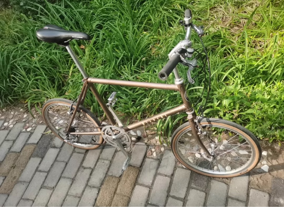 Bianchi Lepre Bronze Minivelo Dura Ace Vintage Setup Bike