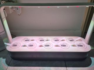 (Category: ) located in . Submitted by ingag (Listing ID 1328126475, Image 1). Description: .